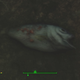 Illustration for article titled The Mystery of What Fallout 4 Hides Underwater